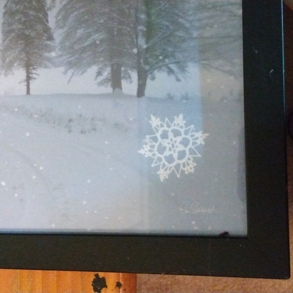 Winter Snowy Pictures - Picture 4 of 13